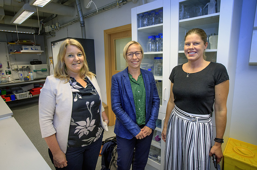 Lisa Buvall, Pernille Laerkegaard Hansen och Kerstin Ebefors