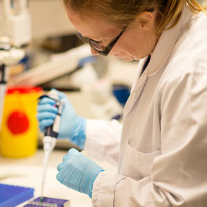 2019 - Eleanor Woodward - pipettering 2019 - Eleanor Woodward - pipettering