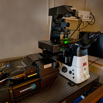 Andrei Chagin - Spinning disk-mikroskop