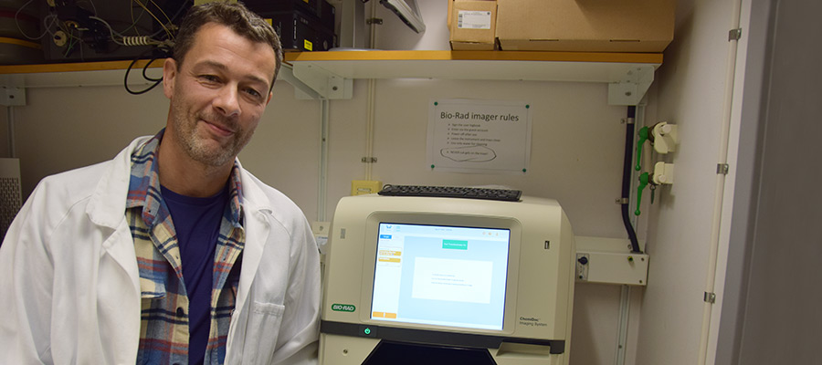 Herwig Schüler, universitetslektor och forskare på Avdelningen för biokemi och strukturbiologi vid Lunds universitet